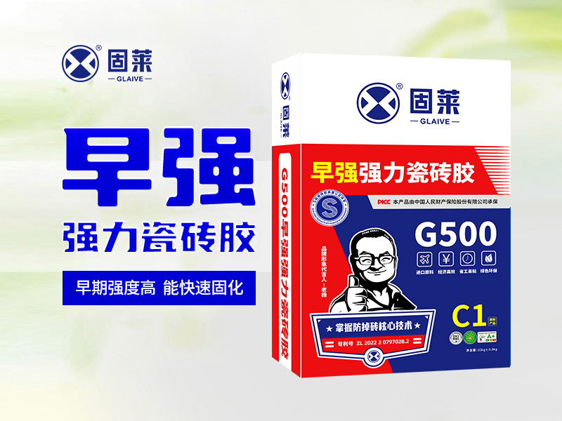 早强强力瓷砖胶G500