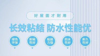 屋顶漏水怎么办?补漏产品怎么选?